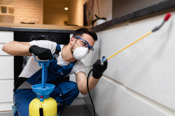 Wildlife Control Services in Stanton, CA