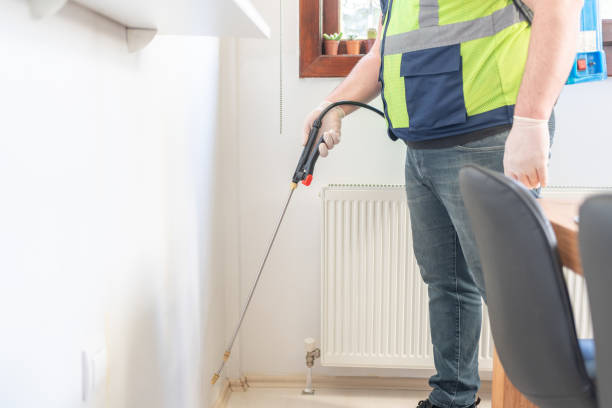 Best Affordable Pest Control Services  in Stanton, CA