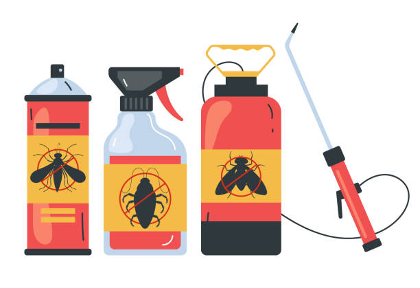 Best Spider Control Near Me  in Stanton, CA