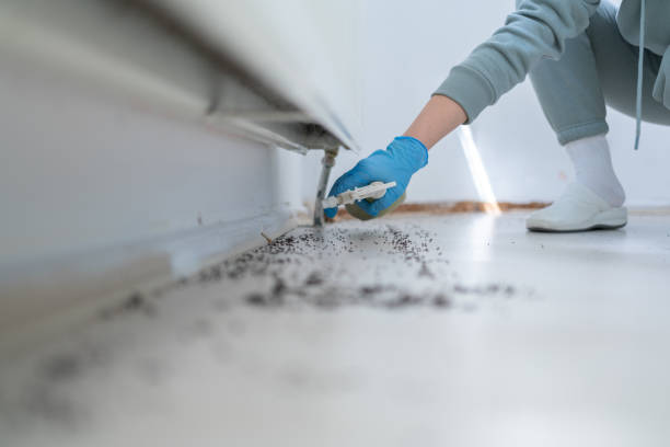 Pest Control Cost in Stanton, CA